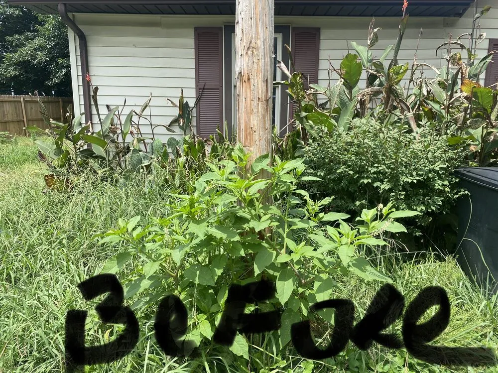 Custom outdoor landscaping in Lenoir City, TN - B and B Service’s