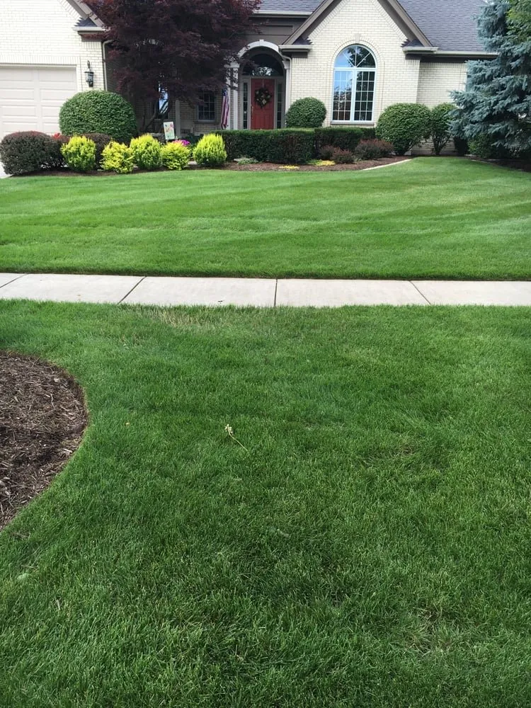 Top-rated yard maintenance with custom design across Marshall, TX - B and G General Services