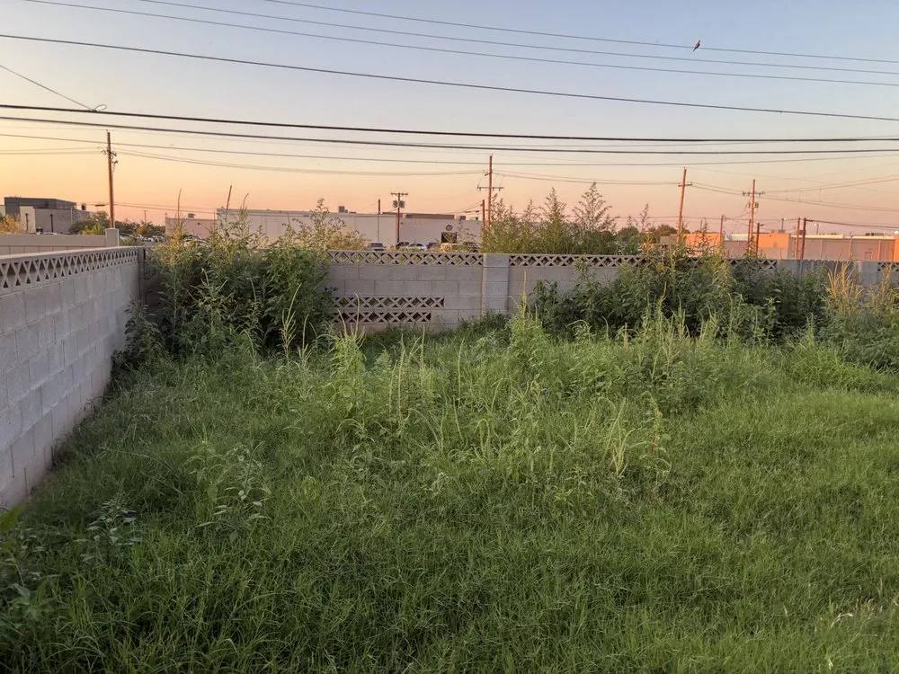 Professional landscape design in Carlsbad, NM by B and H Lawn Care