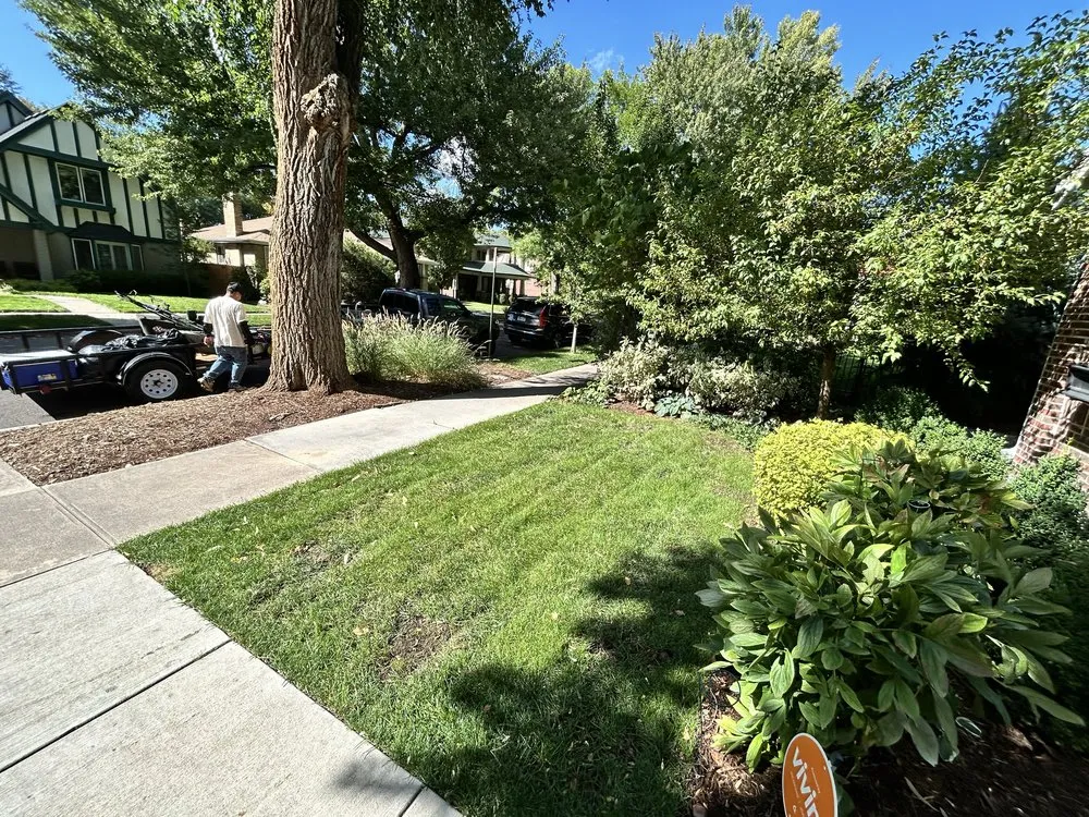 Custom yard cleanup service for homes across Greenwood Village, CO - B and J Landscape