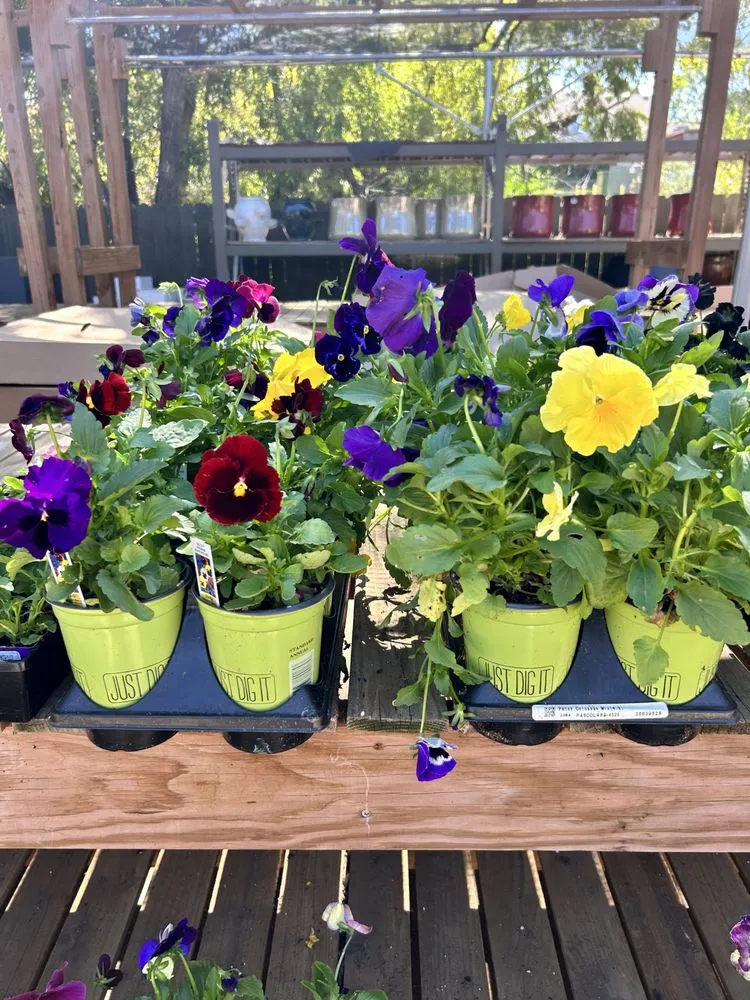 Trusted yard cleanup service in Greenwood Village, CO by B and J Landscape