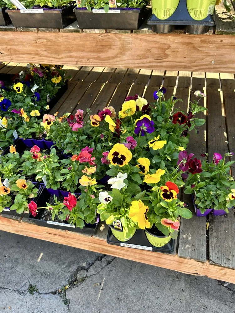 Top-rated yard cleanup service for year-round maintenance in Greenwood Village, CO by B and J Landscape