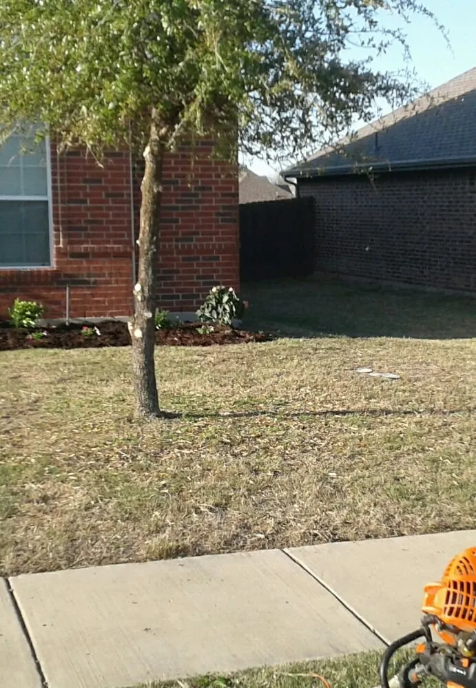 Professional residential landscaping with custom design in Quinlan, TX by B and J Landscaping