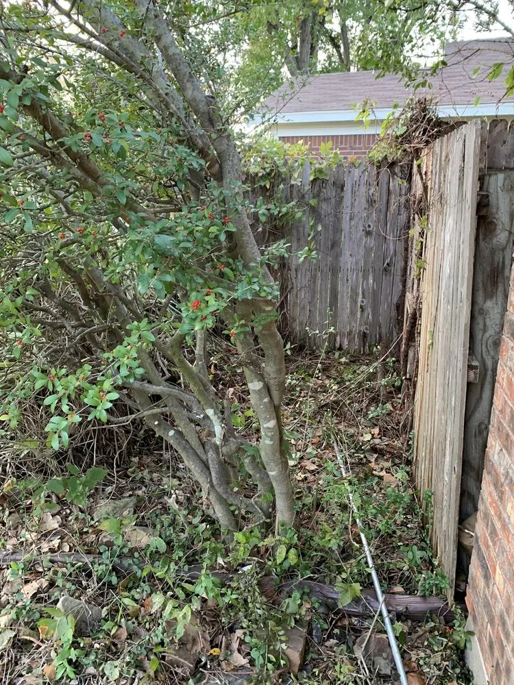 Custom lawn mowing service experts serving Quinlan, TX - B and J Landscaping