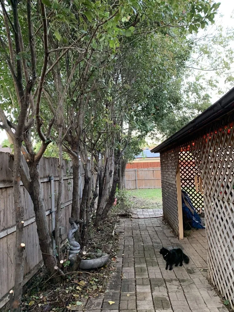 Trusted lawn mowing service in Quinlan, TX by B and J Landscaping