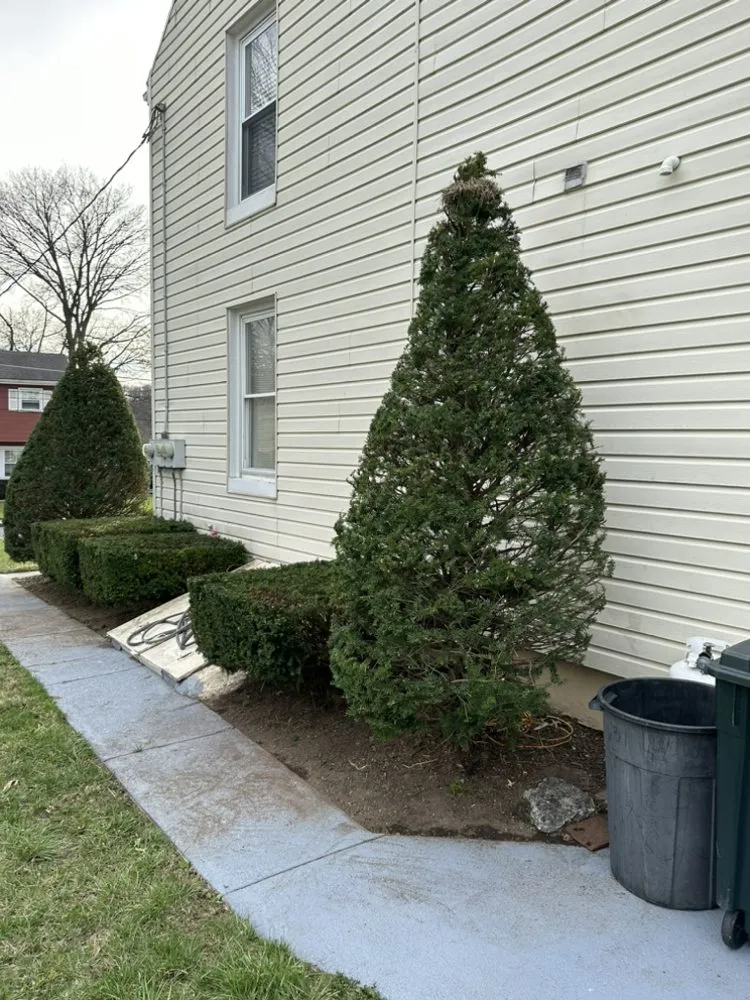 Professional landscape installation for residential properties across Shoemakersville, PA - B And L Landscaping