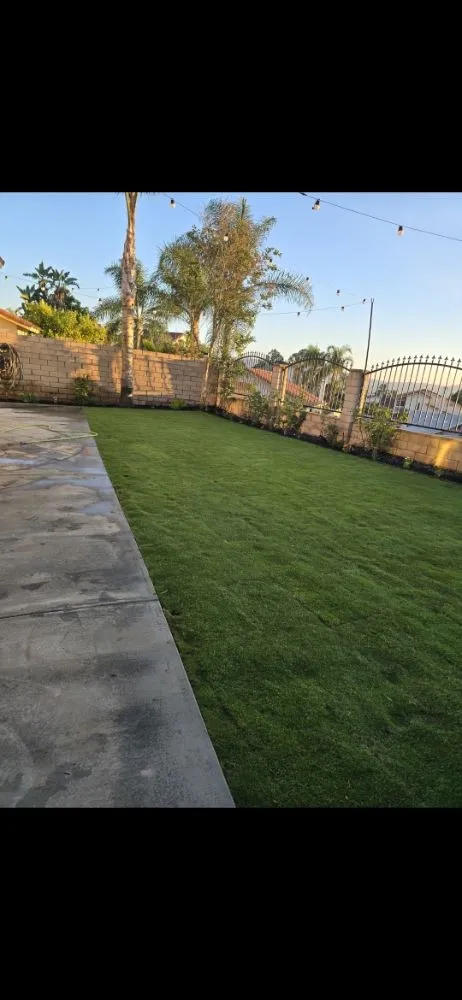 Reliable yard maintenance for outdoor upgrades in La Puente, CA by B and M Gardening