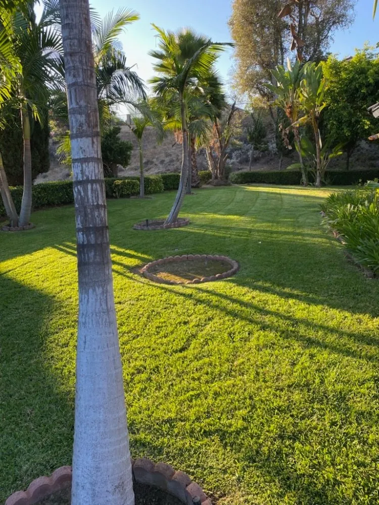 Affordable residential landscaping with custom design across La Puente, CA - B and M Gardening