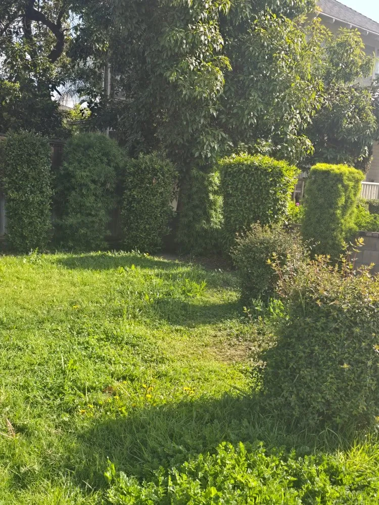 Affordable outdoor landscaping in La Puente, CA - B and M Gardening