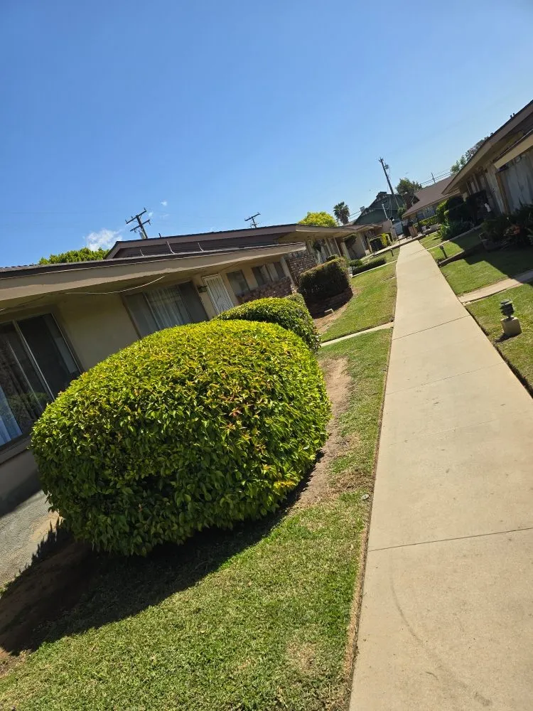 Local lawn mowing service in La Puente, CA by B and M Gardening
