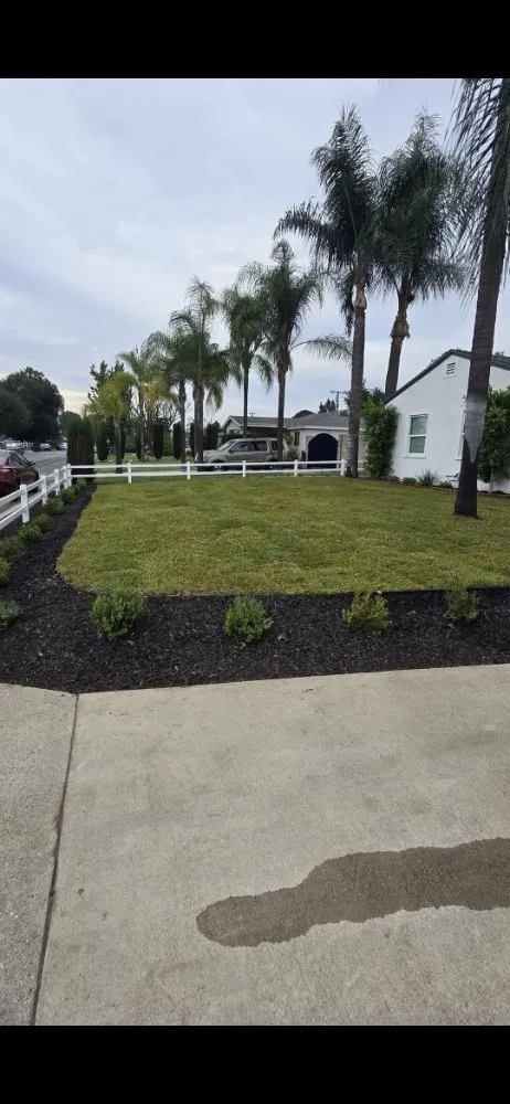 Expert landscape installation in La Puente, CA by B and M Gardening