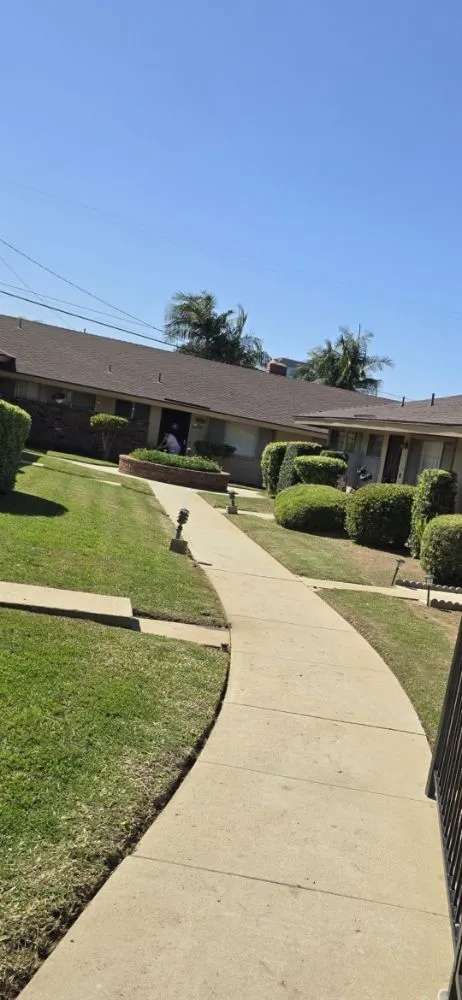 Trusted yard cleanup service in La Puente, CA by B and M Gardening