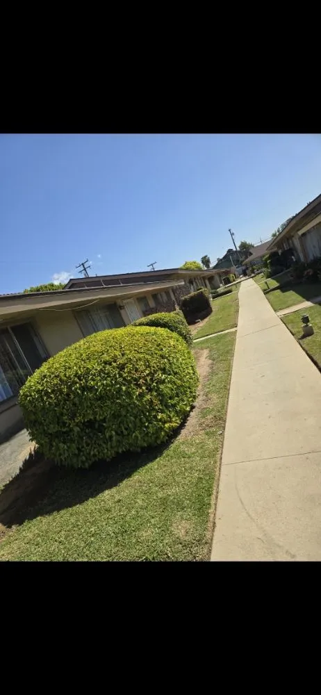 Affordable landscaping services in La Puente, CA - B and M Gardening