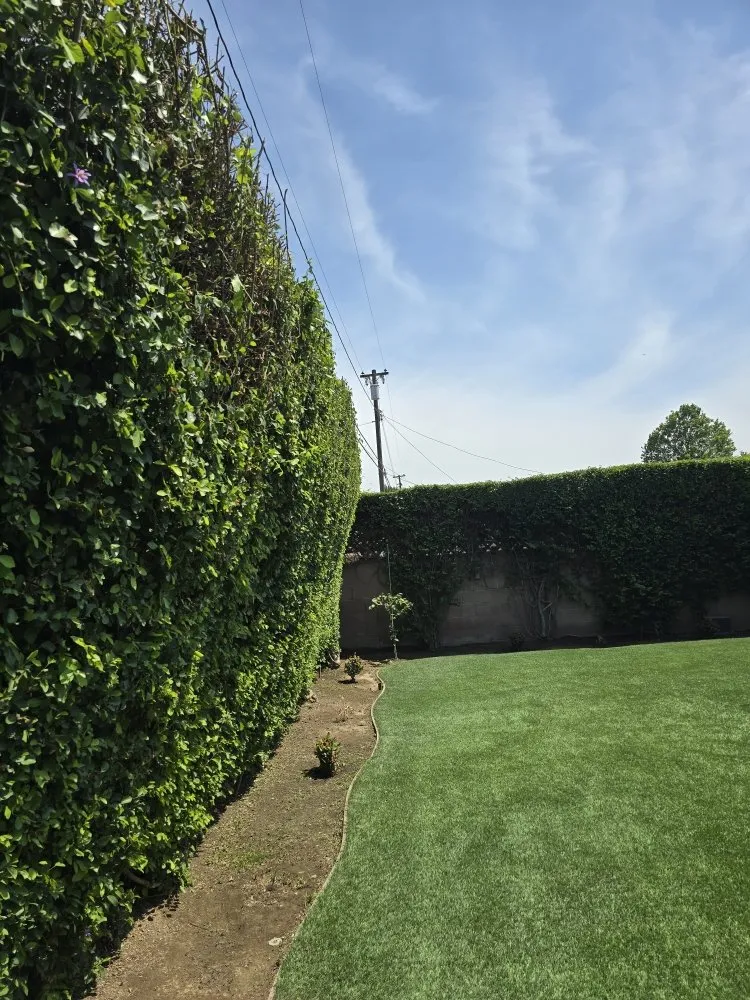 Affordable garden landscaping experts serving La Puente, CA - B and M Gardening