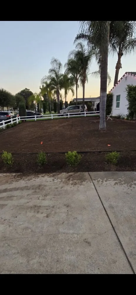 Local landscape design in La Puente, CA by B and M Gardening