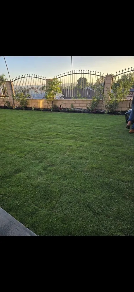 Trusted residential landscaping experts serving La Puente, CA - B and M Gardening