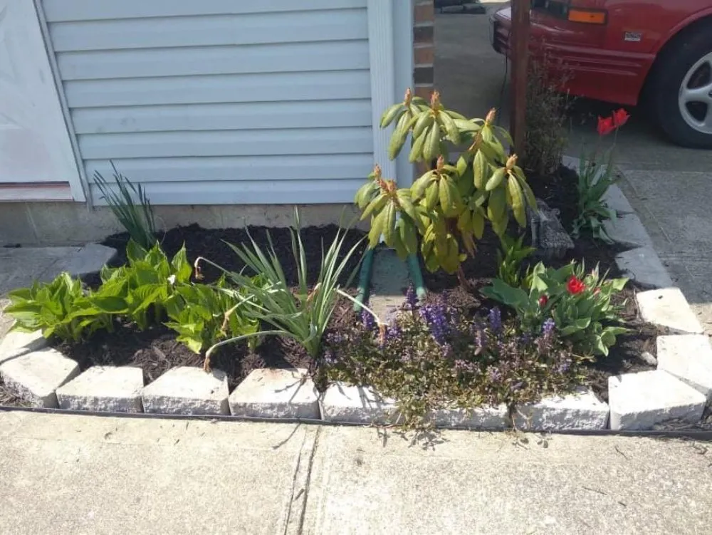 Trusted landscape installation in Newark, OH - B and M Landscaping and Property Preservation