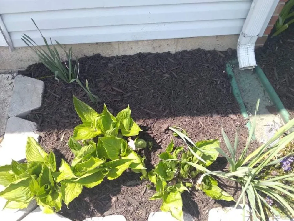 Expert landscape design near you across Newark, OH - B and M Landscaping and Property Preservation