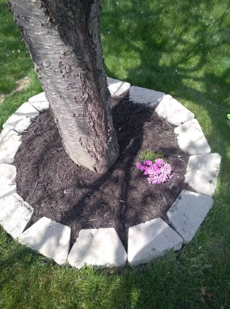 Trusted landscape installation in Newark, OH - B and M Landscaping and Property Preservation