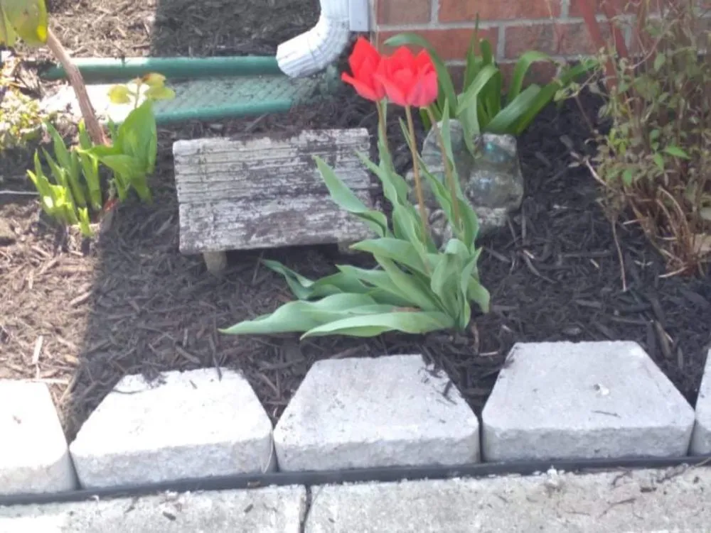 Local lawn care service in Newark, OH - B and M Landscaping and Property Preservation