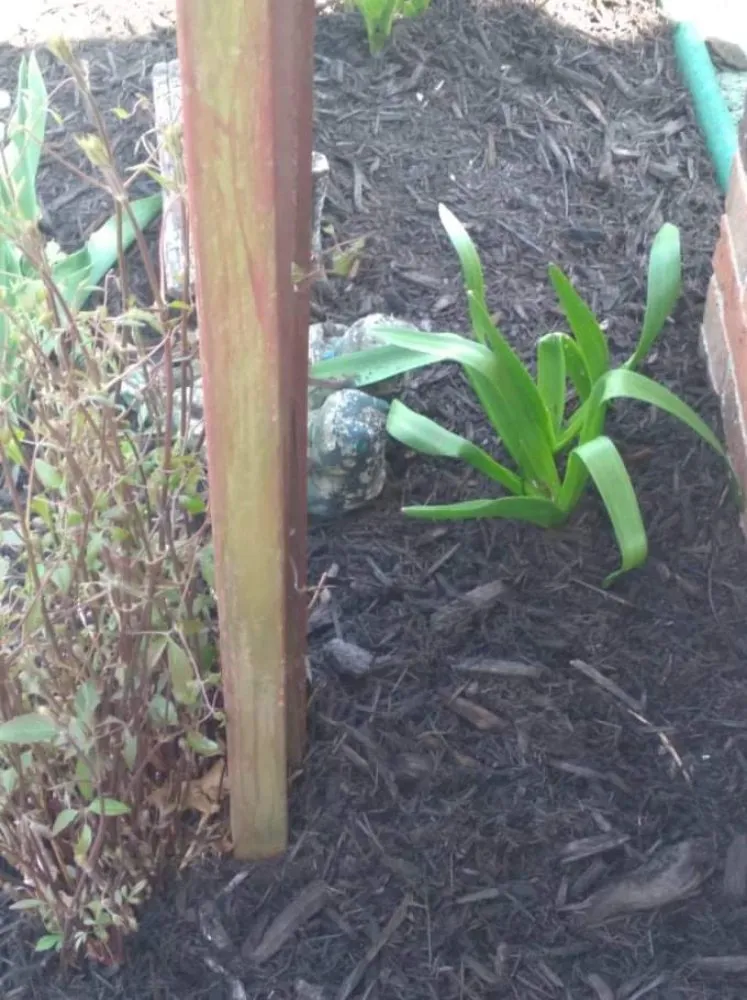 Top-rated garden landscaping for beautiful yards across Newark, OH - B and M Landscaping and Property Preservation