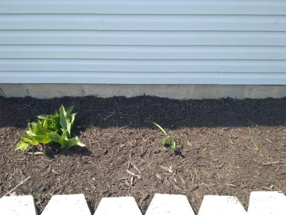 Local garden landscaping for outdoor upgrades across Newark, OH - B and M Landscaping and Property Preservation