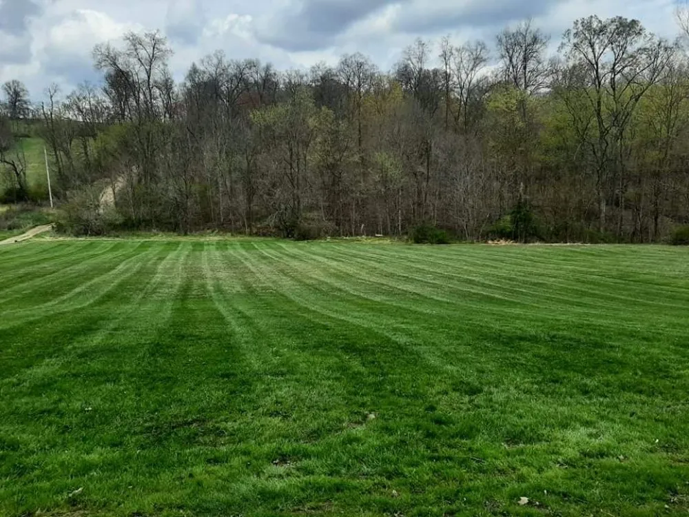 Professional residential landscaping in Newark, OH by B and M Landscaping and Property Preservation