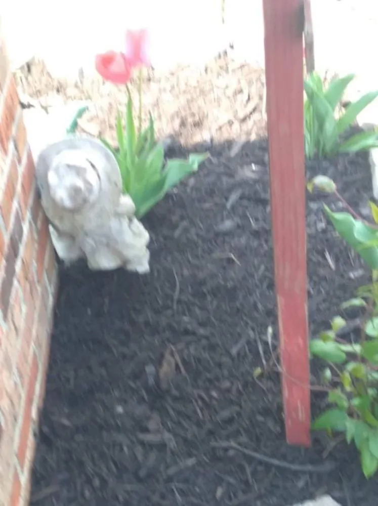 Expert lawn care service experts serving Newark, OH - B and M Landscaping and Property Preservation