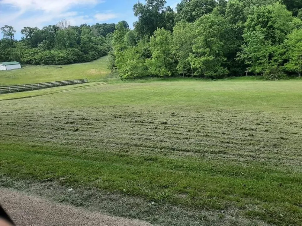 Expert yard maintenance in Newark, OH by B and M Landscaping and Property Preservation