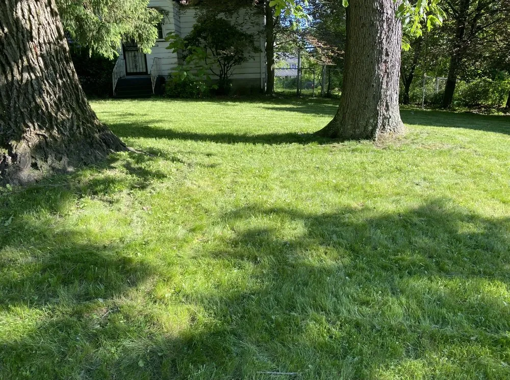 Expert lawn care service for outdoor upgrades across Sebring, OH - B and S Services