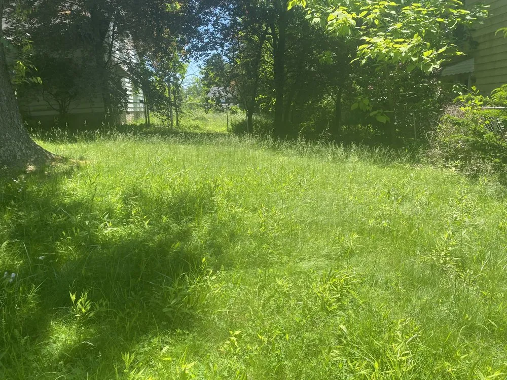 Local yard cleanup service with custom design in Sebring, OH by B and S Services