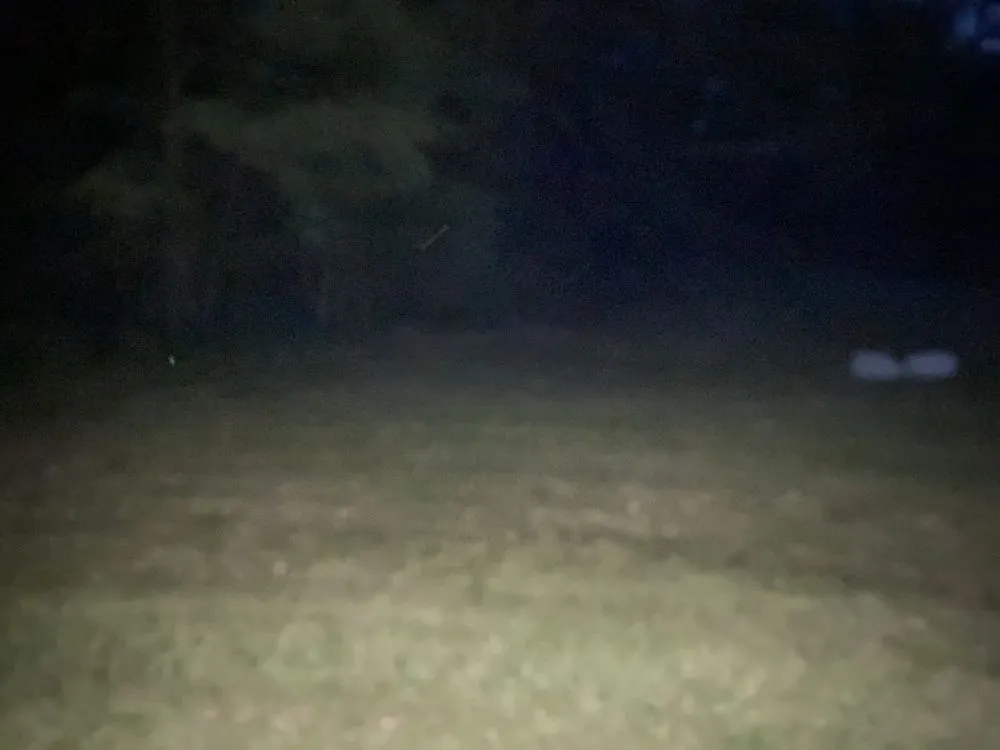 Expert yard cleanup service for residential properties across Sebring, OH - B and S Services