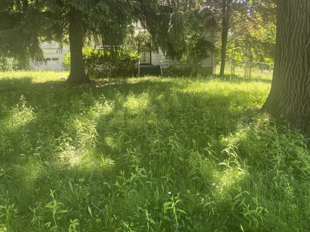 Top-rated yard maintenance for beautiful yards in Sebring, OH by B and S Services