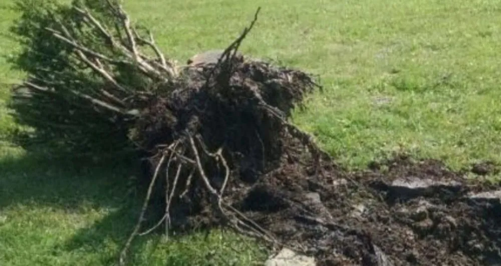 Affordable residential landscaping for homes in Aurora, CO by B-B irrigation & Landscaping