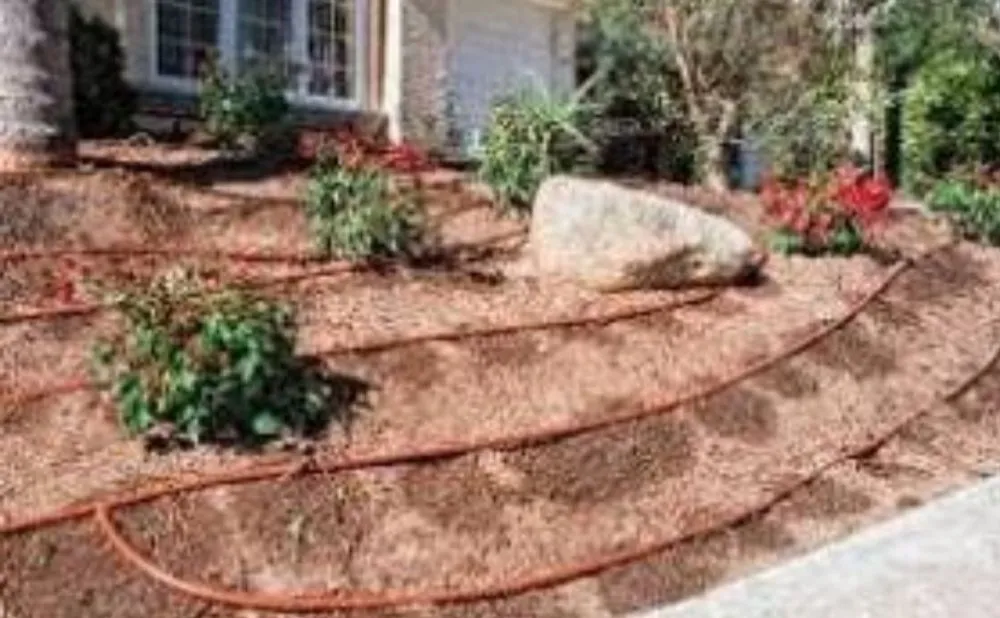 Affordable yard cleanup service experts serving Aurora, CO - B-B irrigation & Landscaping