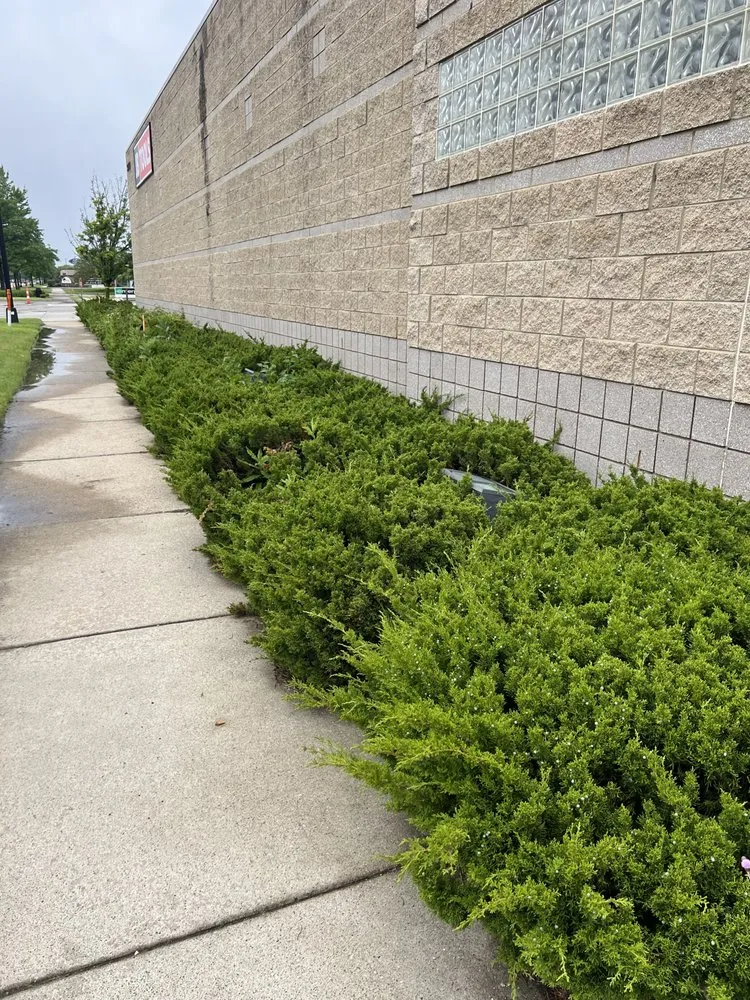 Custom yard cleanup service in Livonia, MI - B-B Services