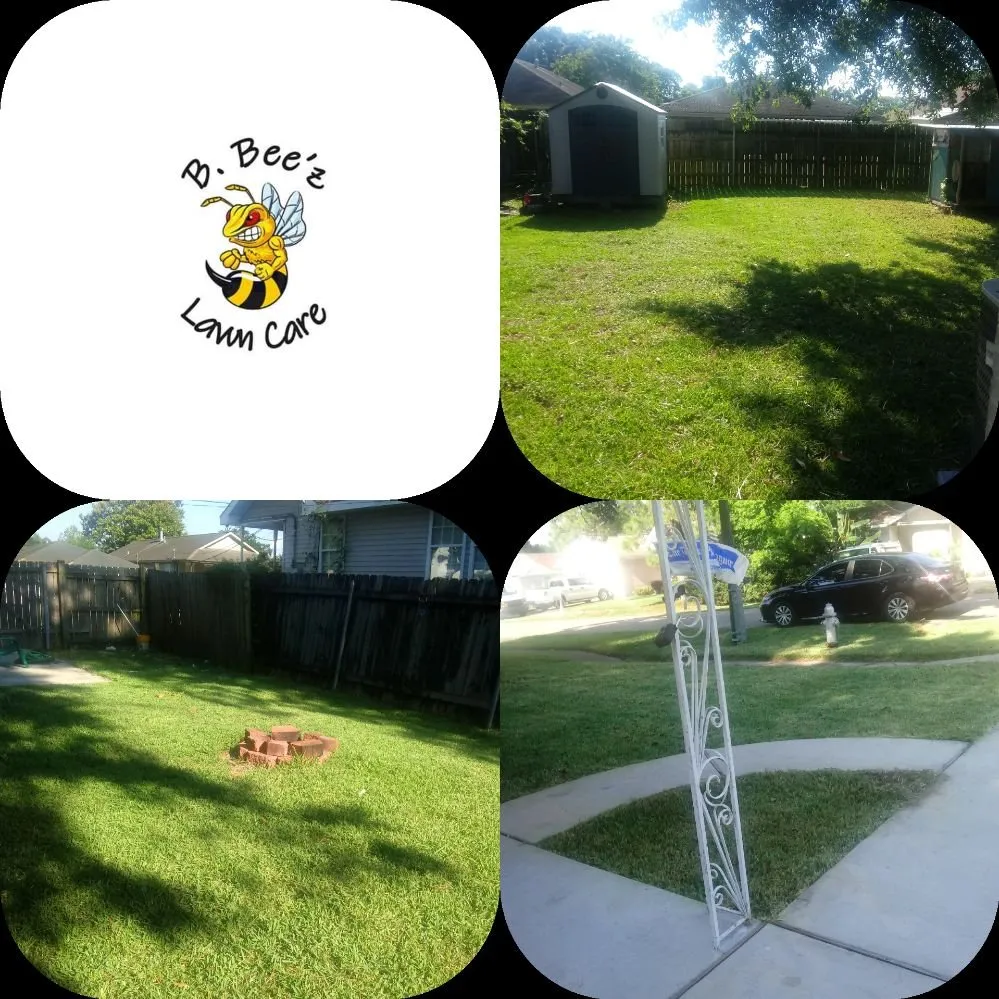 Trusted yard cleanup service for homes in Metairie, LA by B Beez Lawn Care