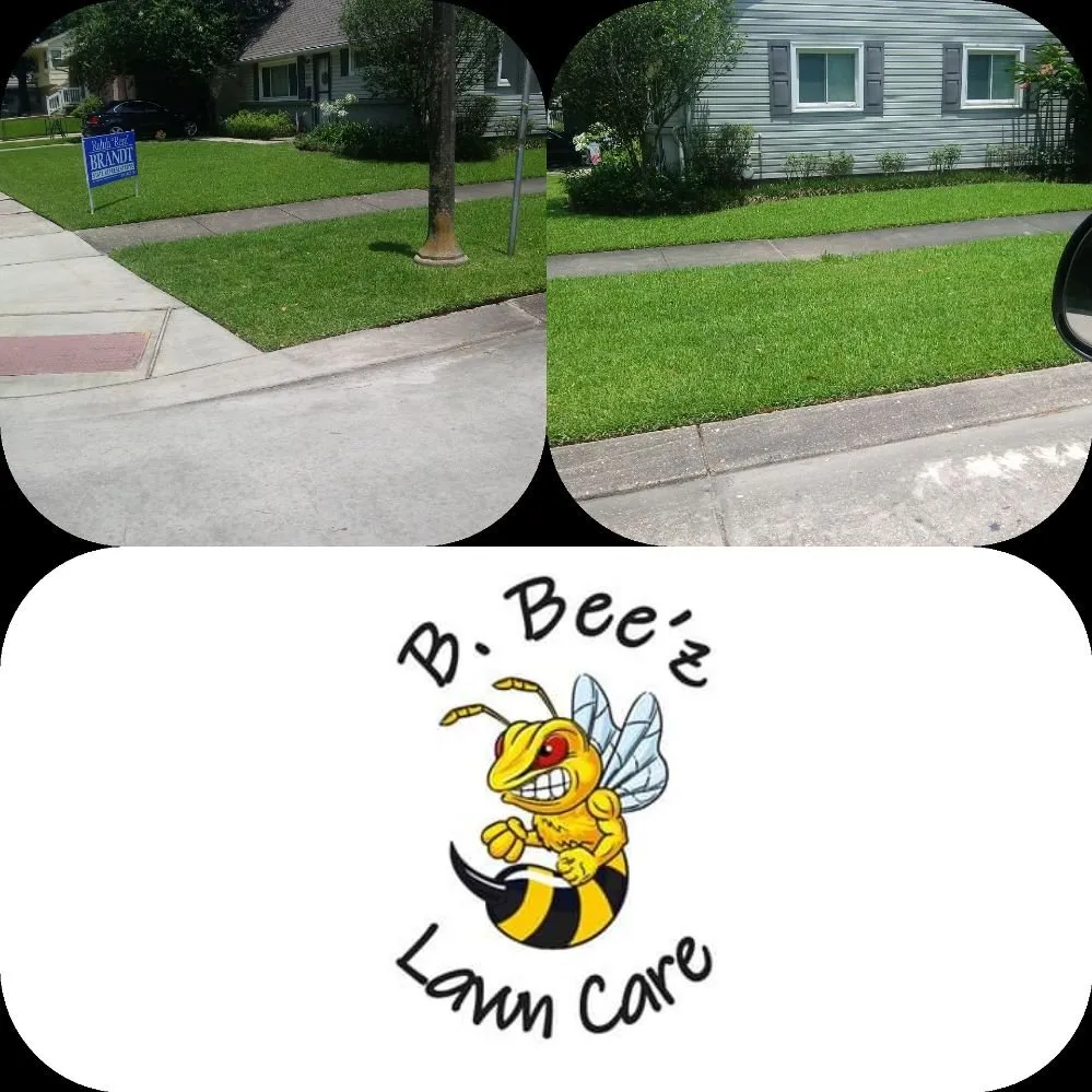 Affordable landscape design experts serving Metairie, LA - B Beez Lawn Care