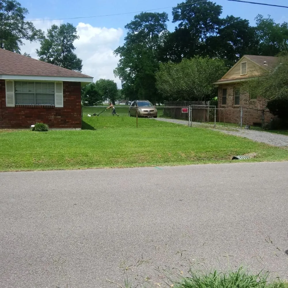 Professional yard cleanup service near you in Metairie, LA by B Beez Lawn Care