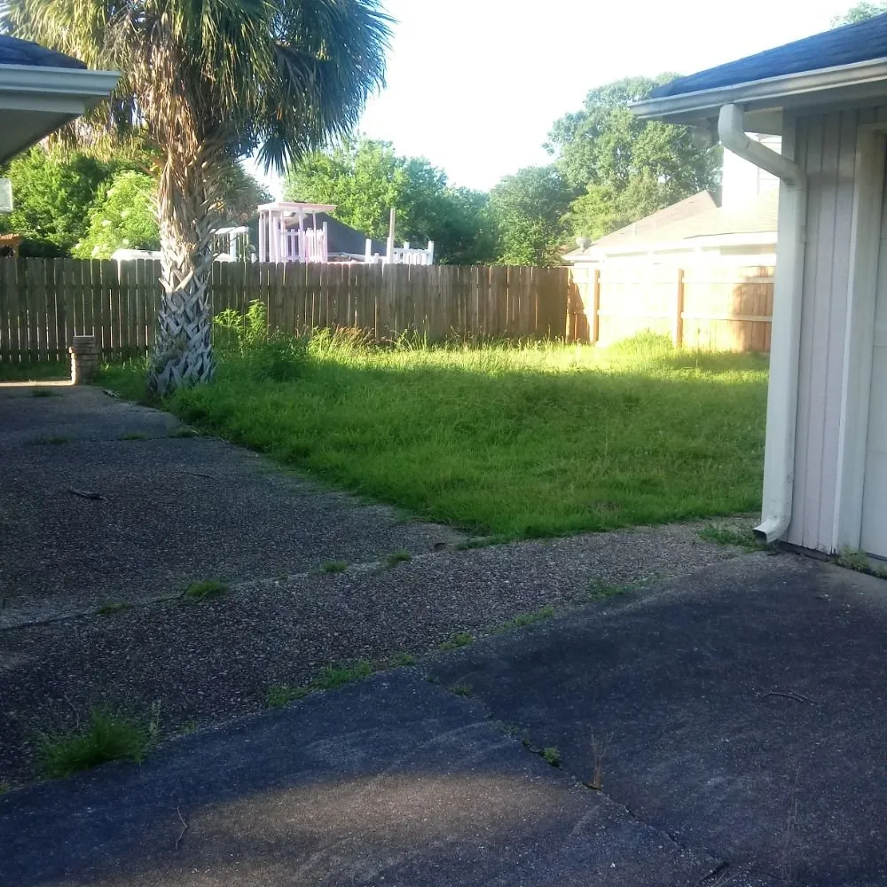 Professional landscape design experts serving Metairie, LA - B Beez Lawn Care