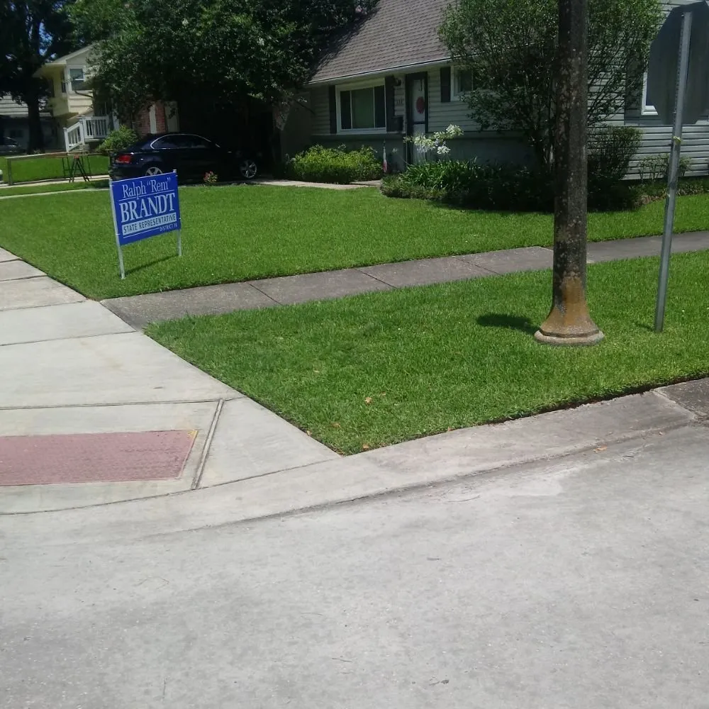 Trusted outdoor landscaping in Metairie, LA by B Beez Lawn Care