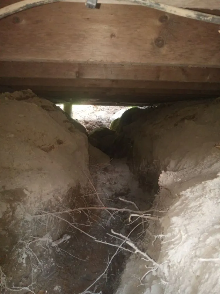 Expert lawn care service experts serving Casco, ME - B Bell Property Service