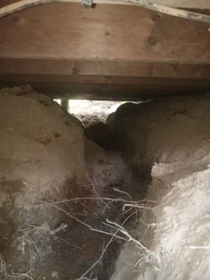 B Bell Property Service