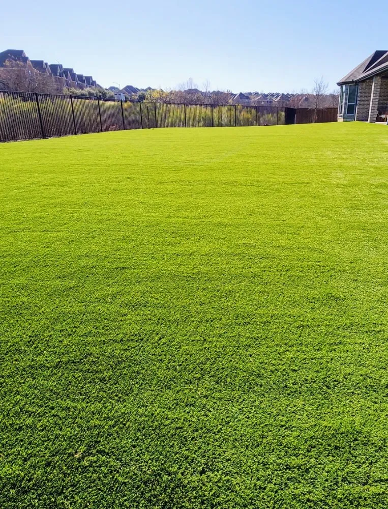 Expert yard cleanup service experts serving Carrollton, TX - B-Bros Synthetic Landscape