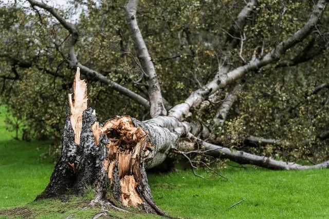 Reliable outdoor landscaping experts serving Arnold, MO - B C Landscaping