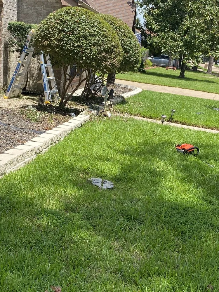 Trusted lawn mowing service for homes in Houston, TX by B C Law Services