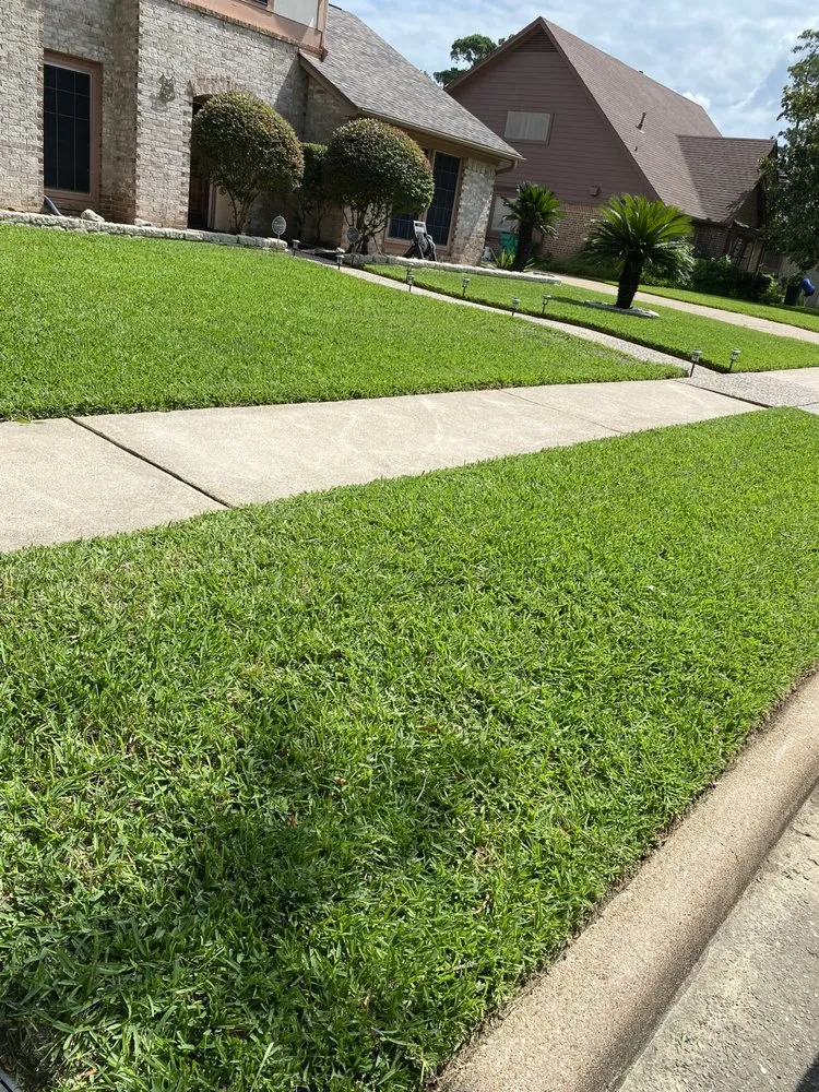 Expert landscaping services experts serving Houston, TX - B C Law Services
