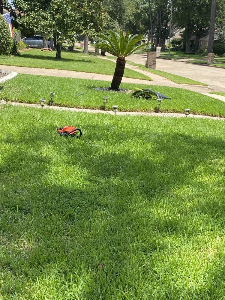 Professional landscape installation experts serving Houston, TX - B C Law Services