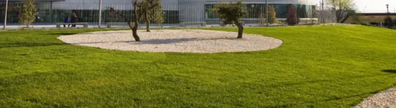 Reliable landscape installation for outdoor upgrades across Marseilles, IL - B C Mowing Service