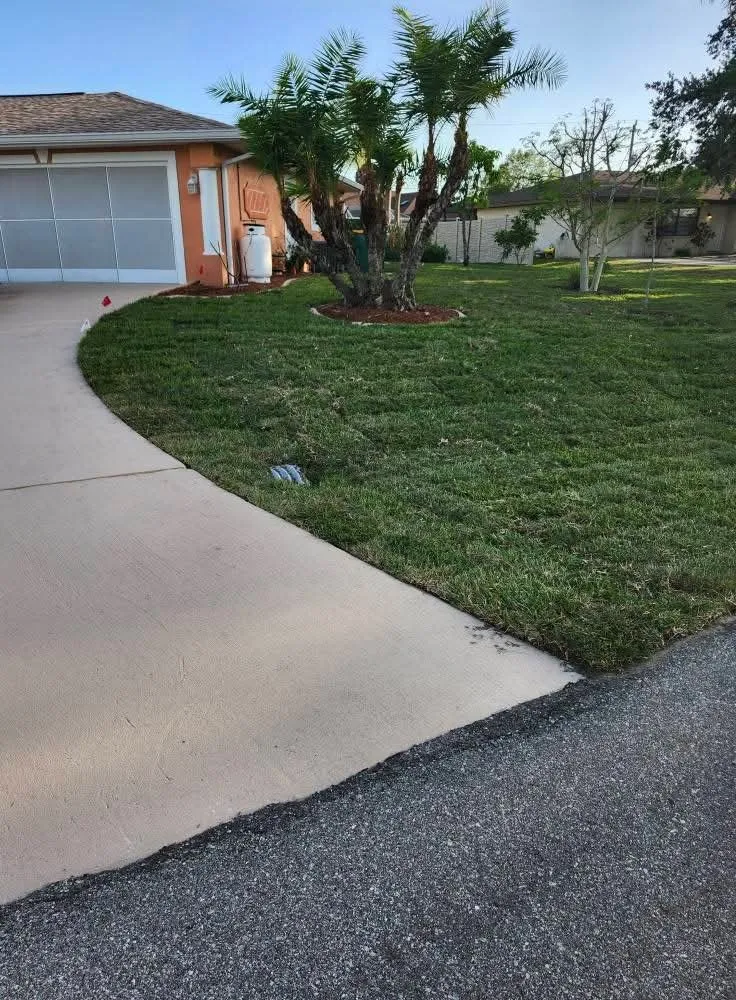 Expert yard maintenance for outdoor upgrades across Nocatee, FL - B E Landscape Service